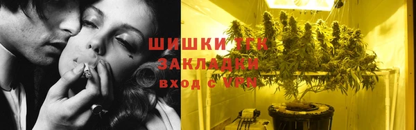 амф Алексин