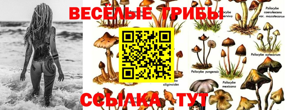 Галлюциногенные грибы ЛСД Большой Камень