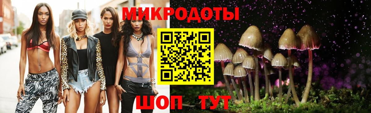 Большой Камень  Галлюциногенные грибы Cubensis  Вход с VPN  наркотики  Псилоцибиновые грибы Psilocybine cubensis 
