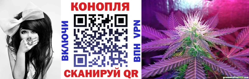 купить наркоту  Большой Камень  Бошки марихуана White Widow 